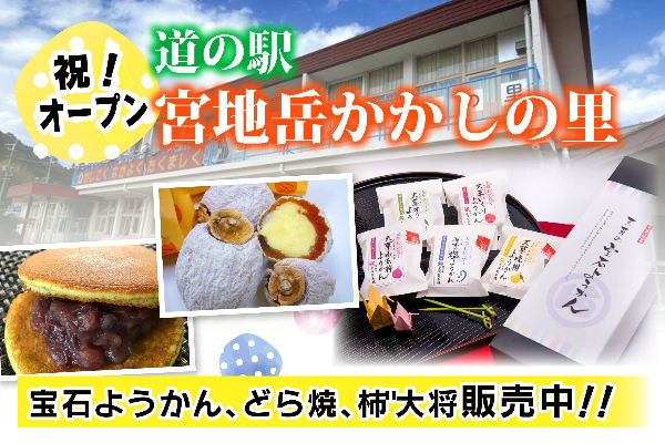 img20210324123645409165.jpg